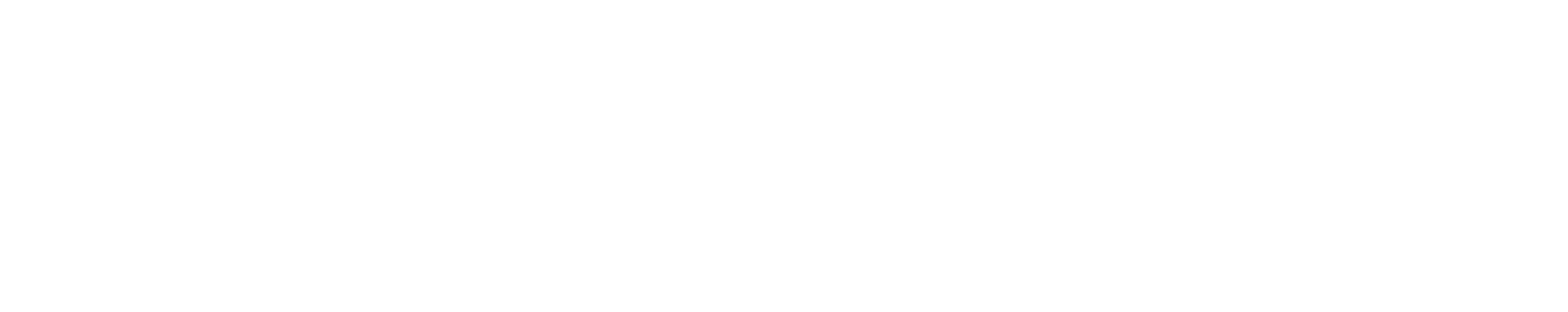 Oniongrid